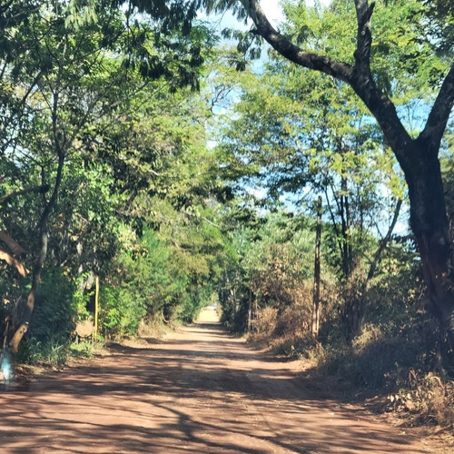 Chacara A Venda Em Goianira 40.000m2