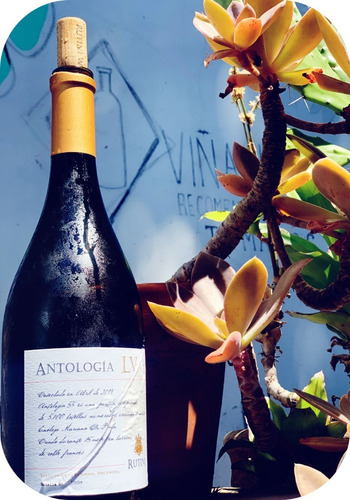 Rutini Wines Antología Lv 55 Blanco Blend Vino Recomendado