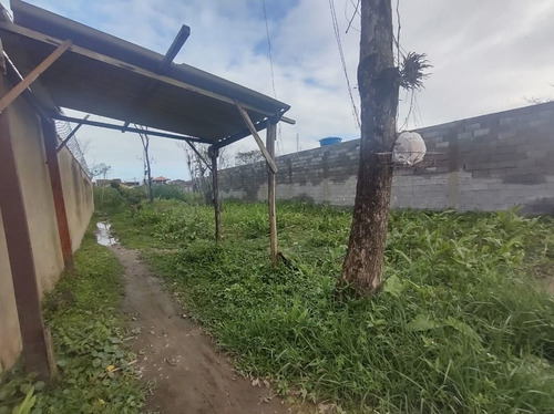 Imagem 5 de 6 de Terreno À Venda, 250 M² Por R$ 80.000 - Suarão - Itanhaém/sp - Te0308