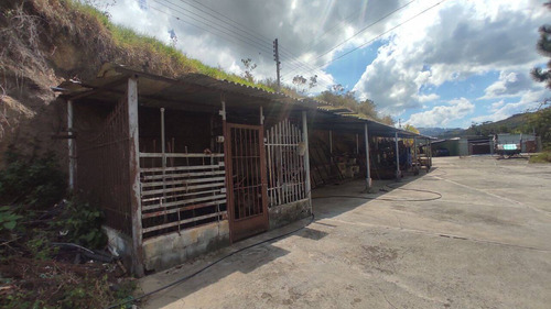 Imagen 9 de 14 de Finca En Venta En Yaracuy