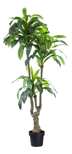 Planta Palo De Agua Dracaena Artificial 180m Calidad Premium