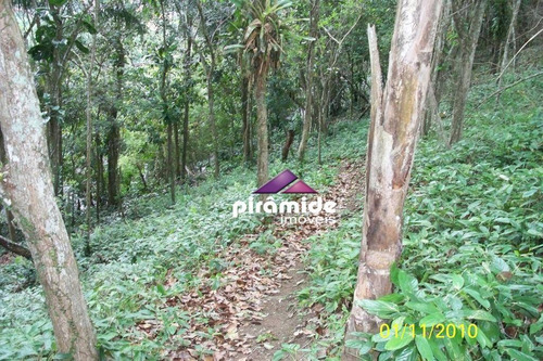Imagem 2 de 7 de Terreno À Venda, 894 M² Por R$ 905.000,00 - Cigarras - São Sebastião/sp - Te1401