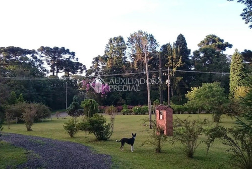 Imagem 4 de 9 de Terreno - Centro - Ref: 292376 - V-292376