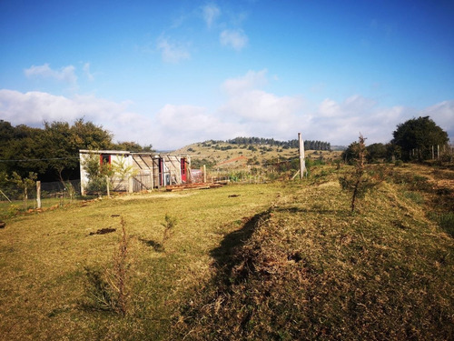 Imagen 9 de 30 de Venta De Chacra Con Vivienda, Ruta 12 Próximo A Pueblo Edén