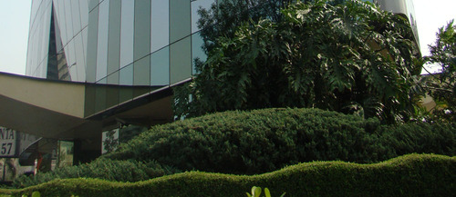 Oficina En Renta, Colonia Lomas De Chapultepec-torre Picasso