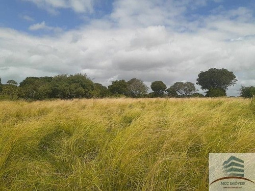 Imagem 4 de 4 de Granja A Venda Lagoa Salgada