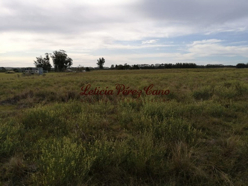 Venta De Chacra En Ruta 9, 5 Has- Ref: 19215