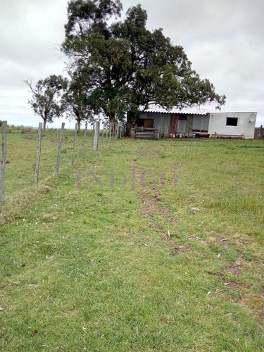 Imagen 19 de 22 de Chacra De 10hta Muy Completa - San Carlos San Carlos