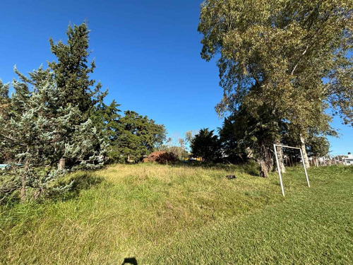 Quinta En Venta En Bragado