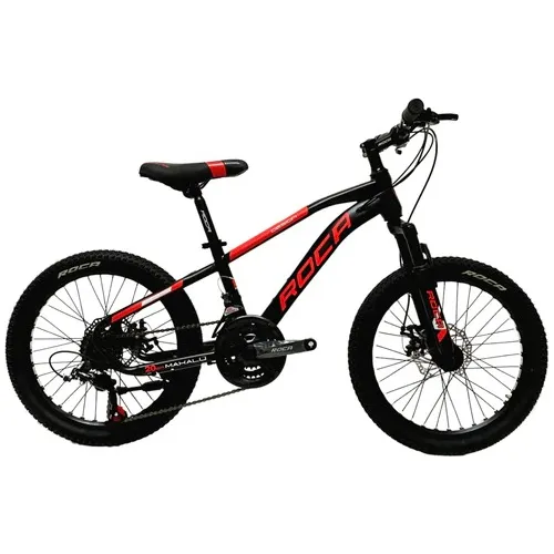 Bicicleta Cruzeiro Rin 24 Usada MercadoLibre