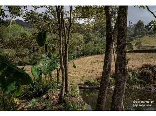 Rhbr-10092 Lotes (la Ceja , Vereda El Uchuval, Via La Ceja - La Unión)