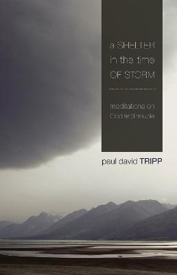 A Shelter In The Time Of Storm : Meditations On God And T...