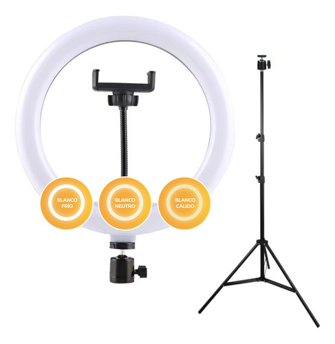 Kit Aro De Luz Led Selfie Celular Cámara + Trípode Control