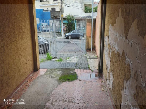 Imagem 5 de 22 de Terreno Cidade Patriarca São Paulo/sp - 1300