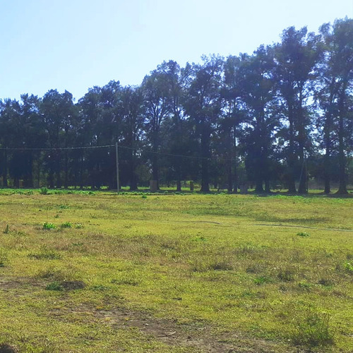 Imagen 17 de 21 de Lote Grande En Moreno En Pesos, Construí Ya!