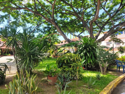 Imagen 14 de 14 de Rv Vende Hermoso Town House En Aves De Paraiso, San Diego