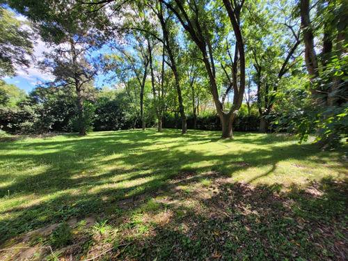 Excelente Terreno En Venta, Robles Del Monarca, La Lonja, Pilar