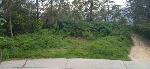 Terreno Sector Alto Fogón