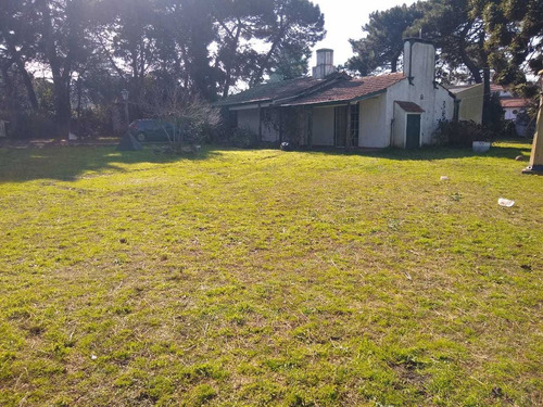 Imagen 3 de 13 de Casa Quinta Con Gran Parque. A 150 Mts De Ruta 88