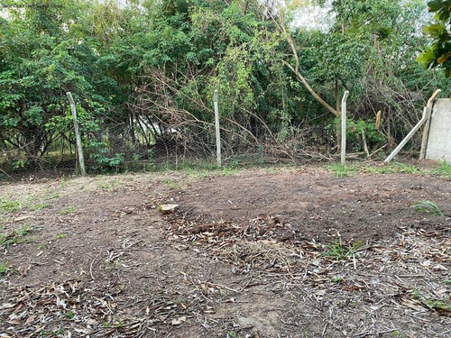 Imagem 12 de 14 de Terreno - Te00022 - 68225325