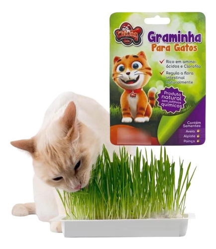Graminha Para Gatos Digestive Grass 100% Natural 50g