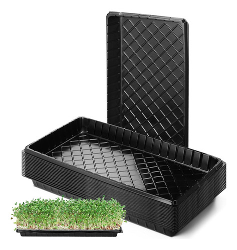 Set 10× Bandeja Germinación Hidroponía Forraje Sin Agujeros