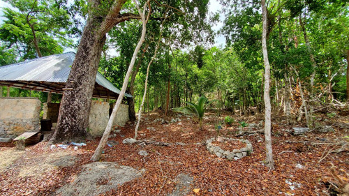 Terreno En Playa Del Carmen Titulado Con 10 Hectareas A Un Lado De Parque Xenotes.