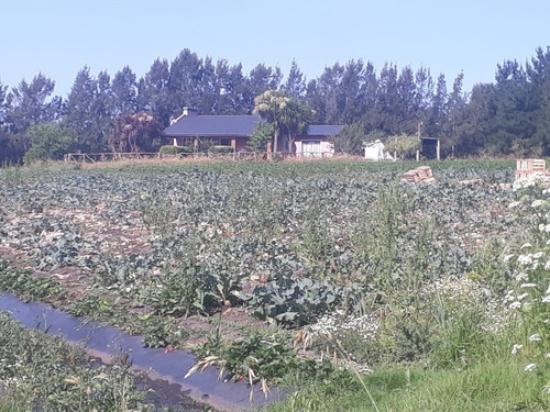 Imagen 5 de 25 de Campo,ideal Complejo De Cabañas. En La Peregrina. Oportunidad!