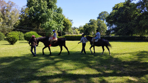 Estancia En Venta - Haras - Turismo Rural En Venta