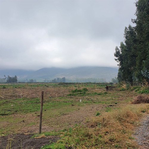 Excelente Terreno En Sector Roma San Fernando