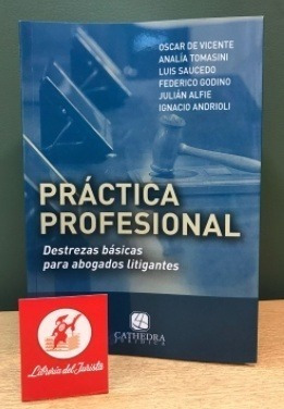 Práctica Profesional - De Vicente, Tomasini Y Otros
