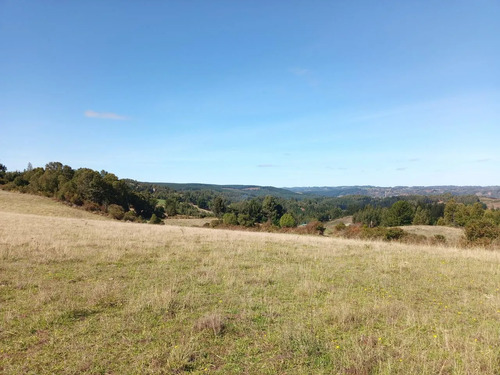 Maravillosa Parcela , Sector Cullinco Alto Carahue