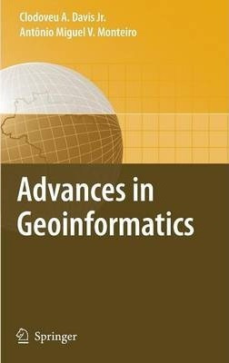 Libro Advances In Geoinformatics : Viii Brazilian Symposi...