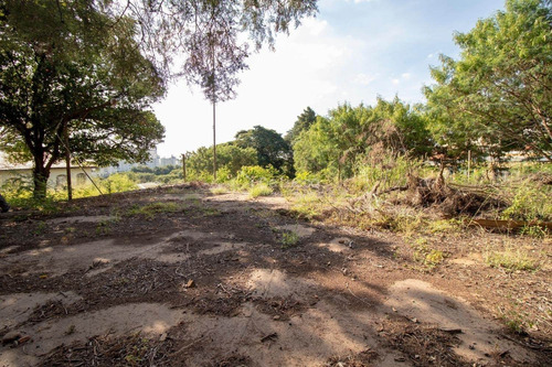 Imagem 19 de 23 de Terreno À Venda Em Jardim Do Vale - Te007989