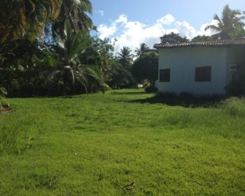 Imagem 13 de 22 de Terreno - Pk399 - 32011838