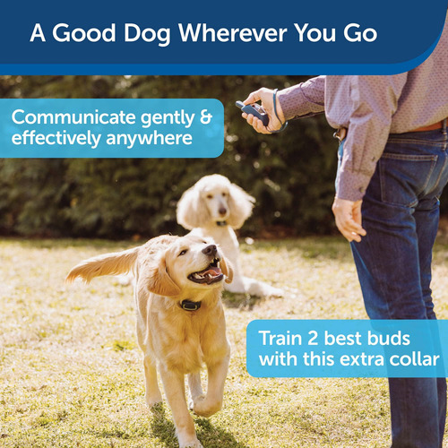 Petsafe Remote Spray Trainer, Collar De Entrenamiento Add-a-