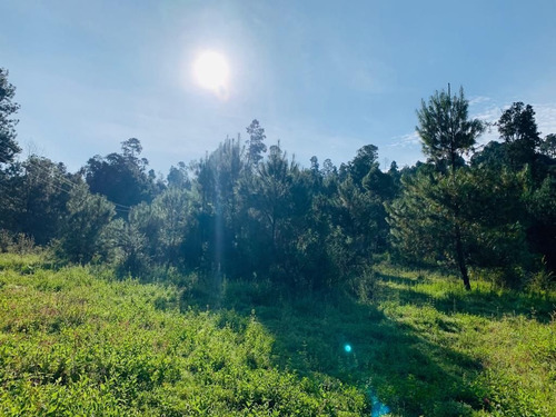 Imagen 4 de 9 de Terreno En Venta.