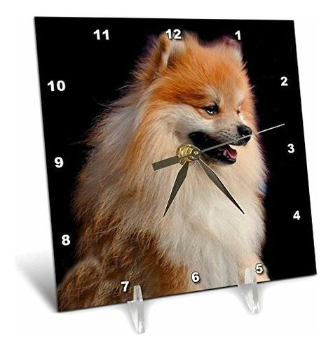3drose Pomeranian - Reloj De Escritorio Con Retrato, 6 