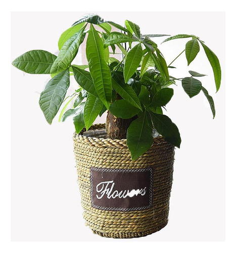 Maceta Tejida De Paja, Cesta De Flores, Cono Invertido