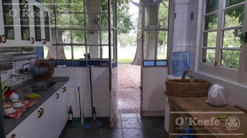 Imagen 9 de 12 de 900 Has Mixtas En Venta En Chascomus - Estancia Histórica Con Laguna. Ideal Turismo O Privado Rural