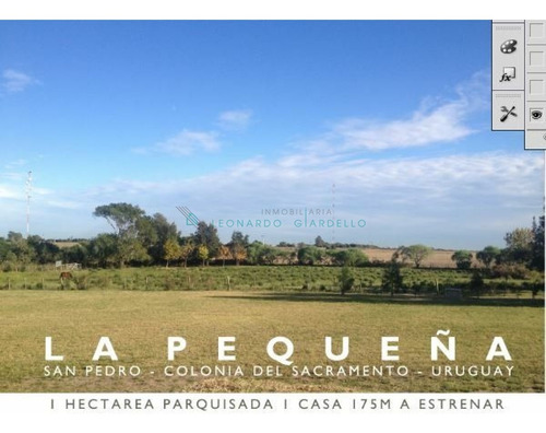 Imagen 2 de 5 de San Pedro, Colonia - Acogedora Y Funcional Chacra En Colonia