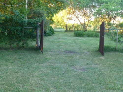 Imagen 26 de 30 de Excelente Chacra 3 Hectareas En Uruguay En El Departamento De Soriano, Permuta En Caba