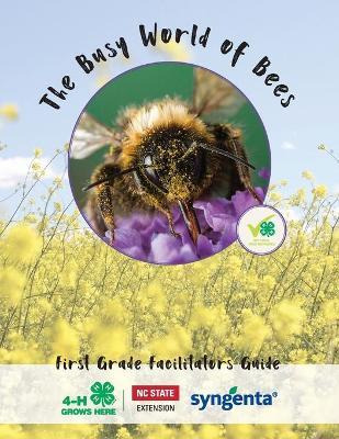 Libro The Busy World Of Bees : First Grade Facilitators G...