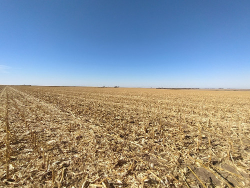 Venta Campo Agrícola Zona Río Cuarto - Córdoba