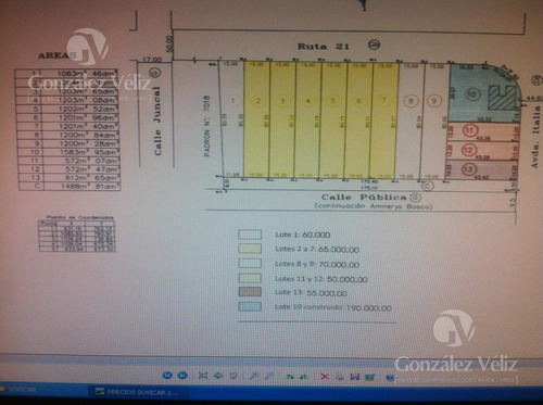 Imagen 5 de 7 de Terreno - Carmelo