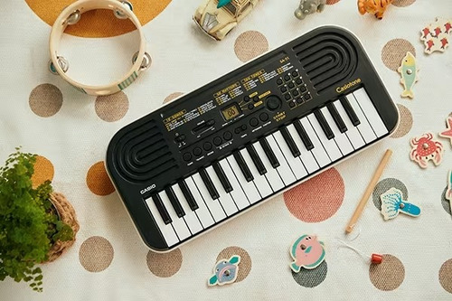 Teclado Mini Para Niñ@s Casio Sa-51