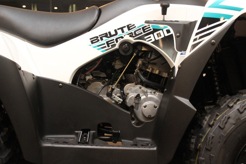Imagen 9 de 14 de Kawasaki Brute Force- Envío Hasta Tu Casa Con Formularios!!