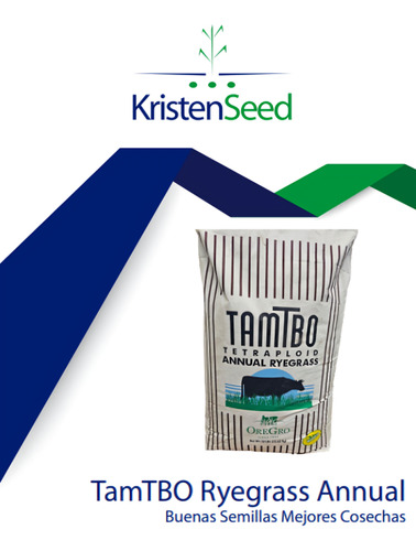 Semilla De Pasto Tamtbo Rye Grass Anual Tetraploide 50 Lbs