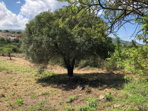 Venta Lote, Country Tierralta, A 4 Km De Villa Carlos Paz