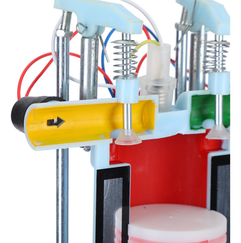 Experimento FĂsico De 4 Tiempos De Juguete Modelo Con Motor